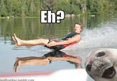 Sealbomber
