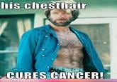 Cheezburger