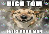 Stoner Dog