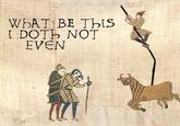 Medieval Macros - Bayeux Tapestry