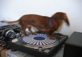 You Spin Me Round