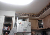 241543903 / Heads In Freezers