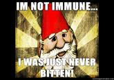Gnome Chompski