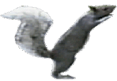 Gonads and Strife
