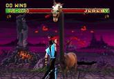 Jeremy the Annoying Horse