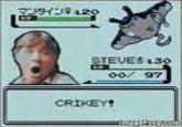 Steve Irwin/Stingrays