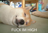 I'M SO FUCKING STONED