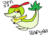 Smugleaf / Snivy