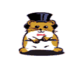 Hampster Dance