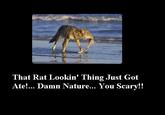Damn Nature, You Scary!