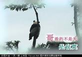 Loneliness Party (寂寞党)