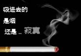 Loneliness Party (寂寞党)