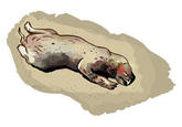 Montauk Monster