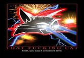 That F***ing Cat