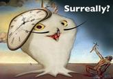 O RLY?