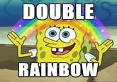 Double Rainbow