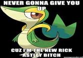 Smugleaf / Snivy