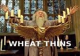 Wheat Thins