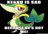 Smugleaf / Snivy