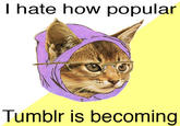 Hipster Kitty