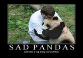 Sad Panda