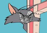 That F***ing Cat