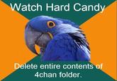 Paranoid Parrot