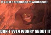 DON'T EVEN WORRY ABOUT IT