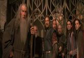 Figwit