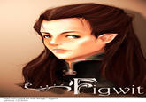 Figwit