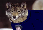 Wolf shirt kid