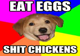 Advice Dog