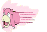 Speedycat