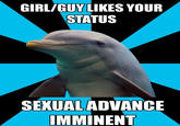 Social Networking Dolphin