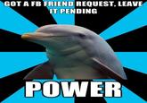 Social Networking Dolphin