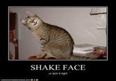 Shake Face