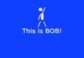 Bob