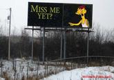 Miss Me Yet?