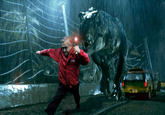 Action Piñi
