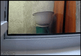 Inception Cat