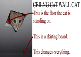 Ceiling Cat