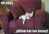 Oh NOES!