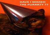 cat planet