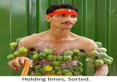 Limes Guy / Why Can't I Hold All These Limes?