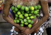 Limes Guy / Why Can't I Hold All These Limes?