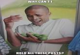 Limes Guy / Why Can't I Hold All These Limes?