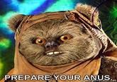 PREPARE YOUR ANUS