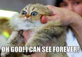 Oh God! I Can See Forever!