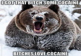 I Fucking Love Cocaine / Cocaine Bear