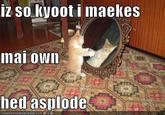 Your Head Asplode